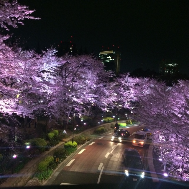 f:id:mattilda:20150404213747j:plain f:id:mattilda:20150404213747j:plain
