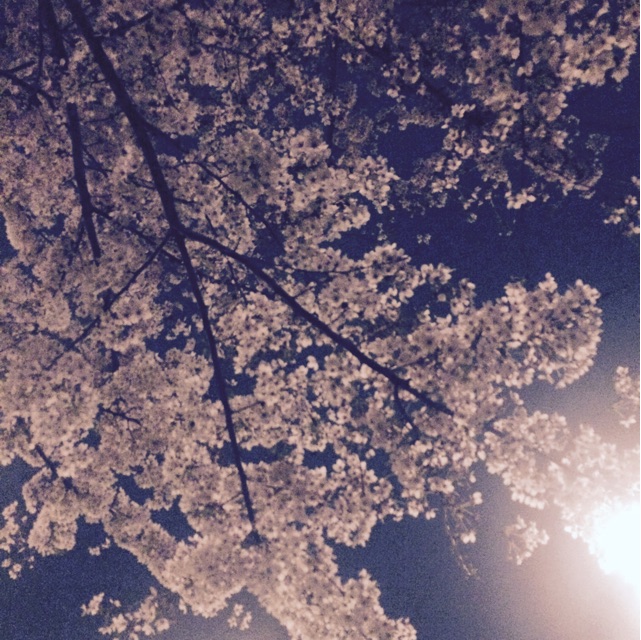f:id:mattilda:20150404213813j:plain f:id:mattilda:20150404213813j:plain