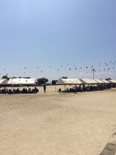 f:id:mattilda:20150531185234j:image f:id:mattilda:20150531185234j:image