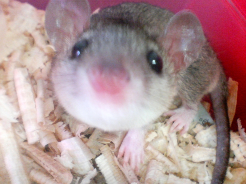 f:id:matuken1987:20100905100537j:plain f:id:matuken1987:20100905100537j:plain