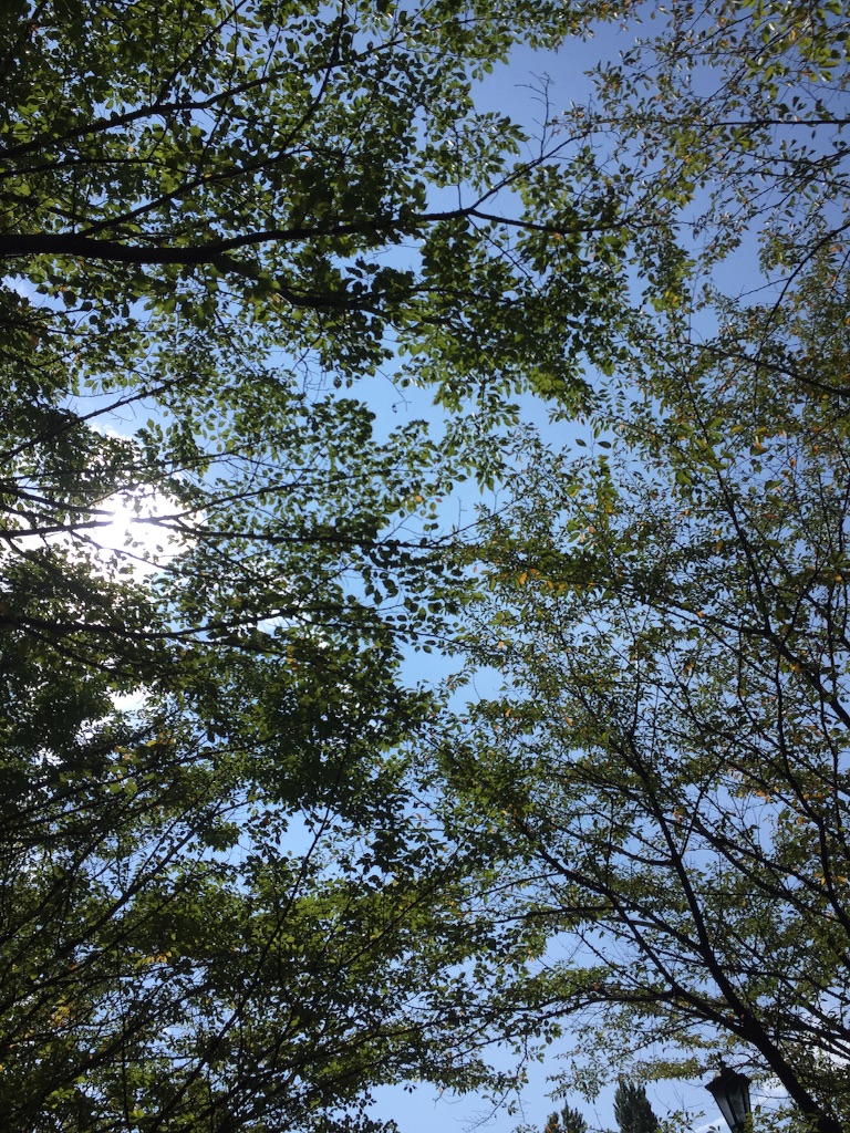 f:id:matutake19:20150924225415j:image f:id:matutake19:20150924225415j:image