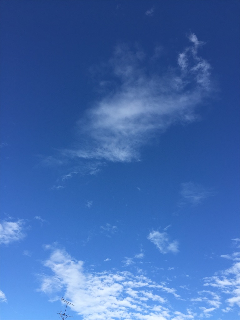 f:id:matutake19:20151118011624j:image f:id:matutake19:20151118011624j:image