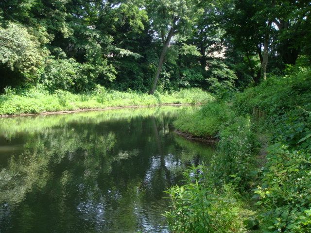 f:id:maury4:20120614132153j:plain f:id:maury4:20120614132153j:plain