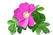 f:id:mawni:20160525010630j:plain f:id:mawni:20160525010630j:plain