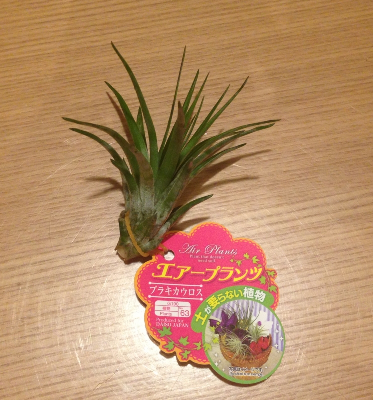 f:id:max206:20150410235607j:plain f:id:max206:20150410235607j:plain