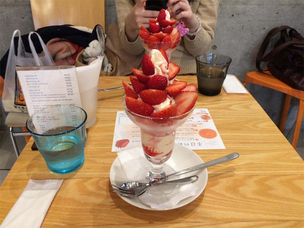 f:id:mayoinekoark:20160123220405j:image f:id:mayoinekoark:20160123220405j:image