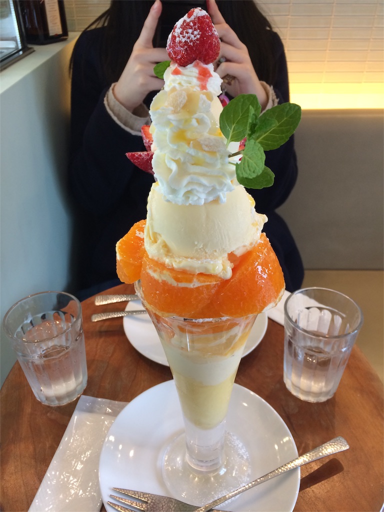 f:id:mayoinekoark:20160130060646j:image f:id:mayoinekoark:20160130060646j:image
