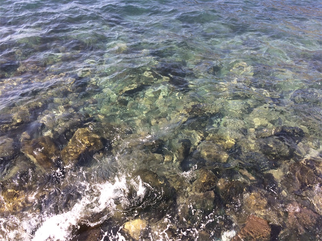f:id:mayoinekoark:20160222180131j:image f:id:mayoinekoark:20160222180131j:image