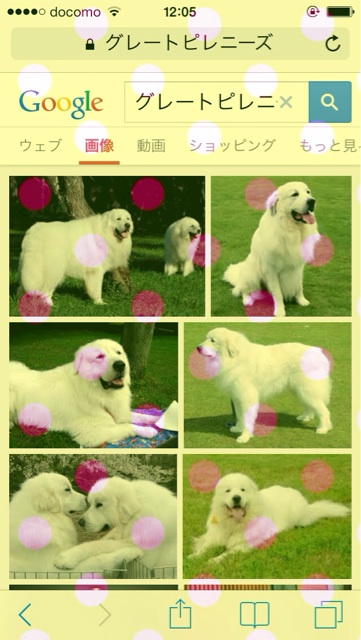f:id:mayonakanonami:20141122120718j:plain f:id:mayonakanonami:20141122120718j:plain