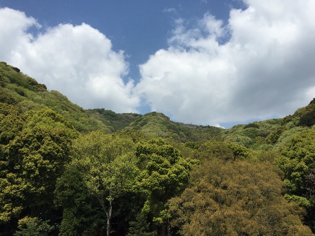 f:id:mayu-tomiyama:20150428231934j:image f:id:mayu-tomiyama:20150428231934j:image
