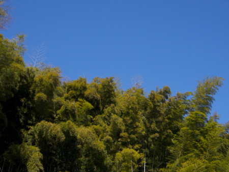 f:id:mayutan_karu:20110305092558j:image f:id:mayutan_karu:20110305092558j:image