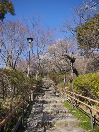 f:id:mayutan_karu:20110305093256j:image f:id:mayutan_karu:20110305093256j:image