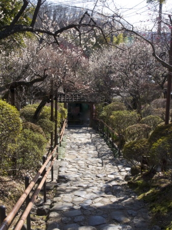 f:id:mayutan_karu:20110305094533j:image f:id:mayutan_karu:20110305094533j:image