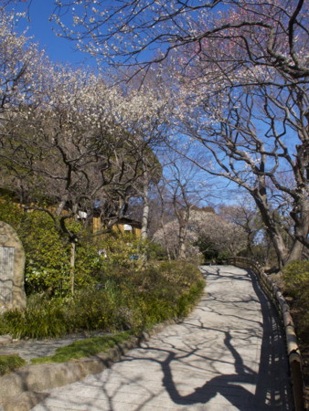 f:id:mayutan_karu:20110305094640j:image f:id:mayutan_karu:20110305094640j:image