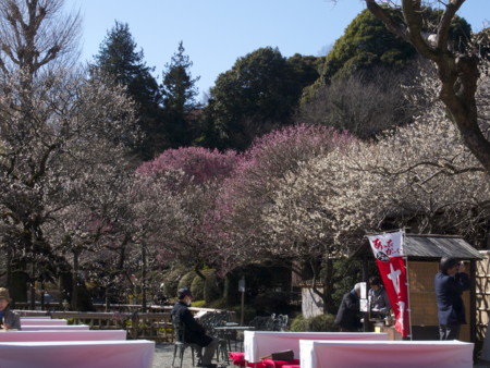 f:id:mayutan_karu:20110305095328j:image f:id:mayutan_karu:20110305095328j:image