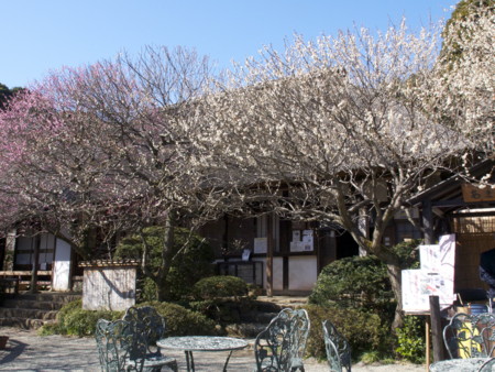 f:id:mayutan_karu:20110305100054j:image f:id:mayutan_karu:20110305100054j:image