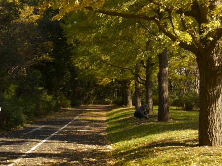 f:id:mayutan_karu:20111117094145j:image:w640 f:id:mayutan_karu:20111117094145j:image:w640