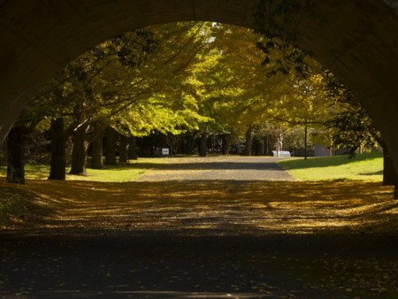 f:id:mayutan_karu:20111117094933j:image:w640 f:id:mayutan_karu:20111117094933j:image:w640