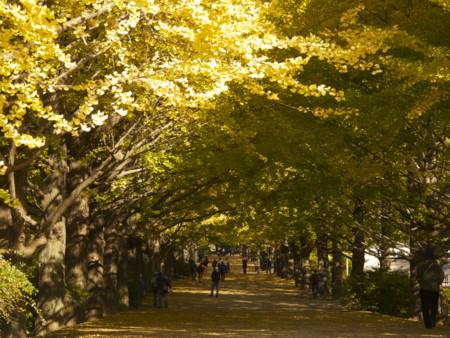 f:id:mayutan_karu:20111117095744j:image:w640 f:id:mayutan_karu:20111117095744j:image:w640