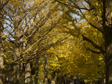 f:id:mayutan_karu:20111117101339j:image:w640 f:id:mayutan_karu:20111117101339j:image:w640