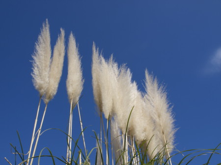 f:id:mayutan_karu:20111117110020j:image:w640 f:id:mayutan_karu:20111117110020j:image:w640