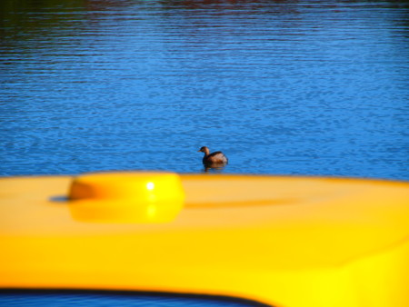 f:id:mayutan_karu:20111117112226j:image:w640 f:id:mayutan_karu:20111117112226j:image:w640