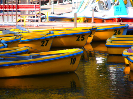 f:id:mayutan_karu:20111117112843j:image:w640 f:id:mayutan_karu:20111117112843j:image:w640
