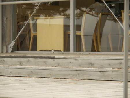 f:id:mayutan_karu:20130628072837j:plain:w640