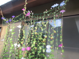 f:id:mazennda:20170723060925j:image f:id:mazennda:20170723060925j:image