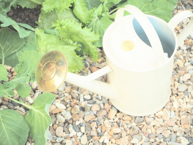 f:id:mazshear:20160408220334j:plain f:id:mazshear:20160408220334j:plain