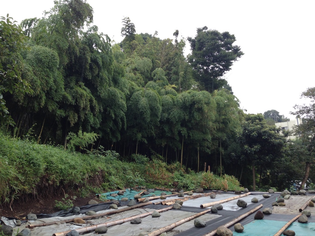 f:id:mazu-jirushii:20150901092427j:image f:id:mazu-jirushii:20150901092427j:image