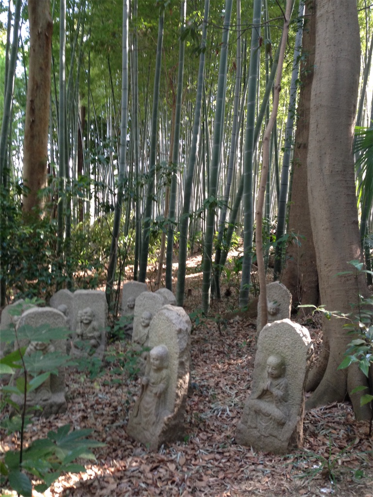 f:id:mazu-jirushii:20151203152334j:image f:id:mazu-jirushii:20151203152334j:image