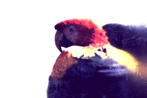 f:id:mbeattap:20120604040957j:image f:id:mbeattap:20120604040957j:image