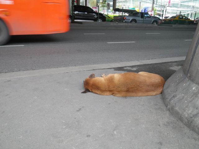 f:id:mbeattap:20120730171517j:image f:id:mbeattap:20120730171517j:image