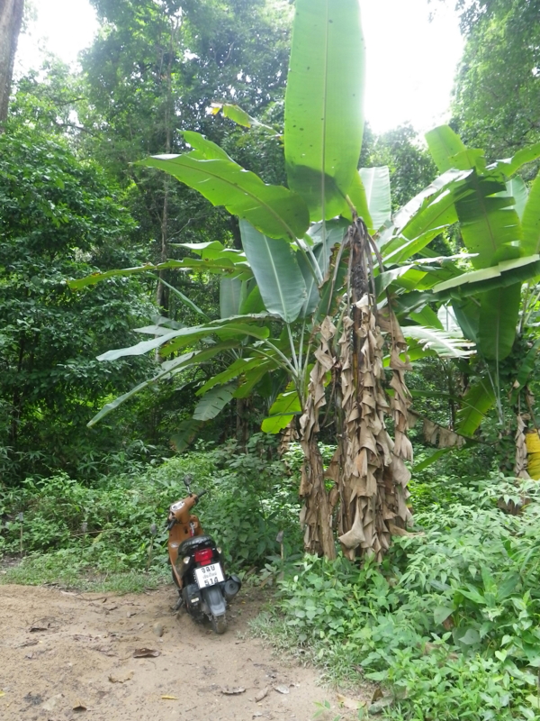 f:id:mbeattap:20120823143843j:image f:id:mbeattap:20120823143843j:image