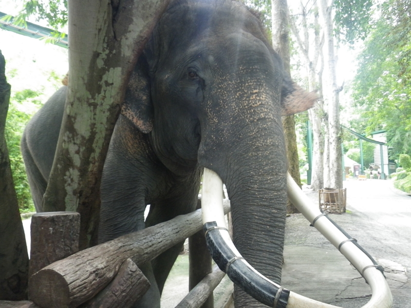 f:id:mbeattap:20120823152050j:image f:id:mbeattap:20120823152050j:image