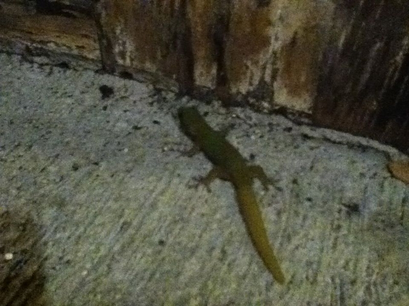 f:id:mbeattap:20121130182330j:image f:id:mbeattap:20121130182330j:image