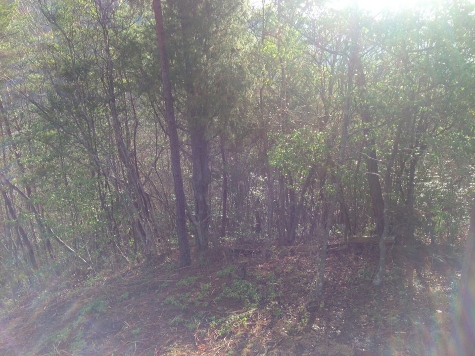 f:id:mbeattap:20130403070601j:image f:id:mbeattap:20130403070601j:image