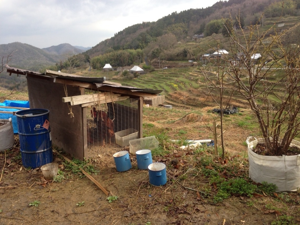 f:id:mbeattap:20130403080509j:image f:id:mbeattap:20130403080509j:image