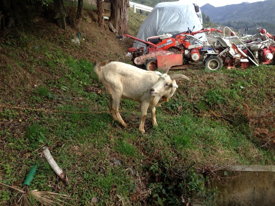 f:id:mbeattap:20130403080929j:image f:id:mbeattap:20130403080929j:image
