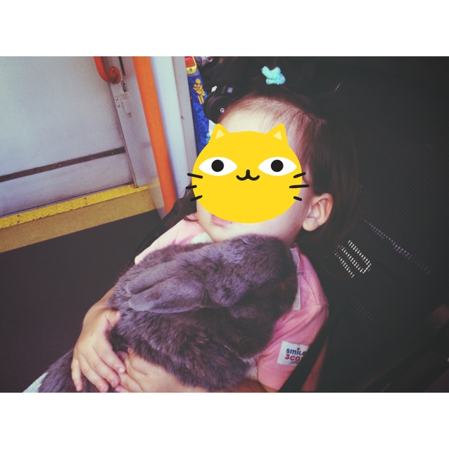 f:id:mck47:20150205105757j:plain f:id:mck47:20150205105757j:plain