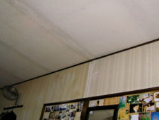f:id:me_262:20050924192739j:image:left f:id:me_262:20050924192739j:image:left