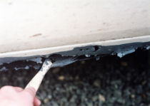 f:id:me_262:20080809110356j:image:left f:id:me_262:20080809110356j:image:left