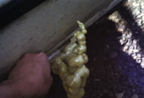 f:id:me_262:20080809112907j:image:left f:id:me_262:20080809112907j:image:left