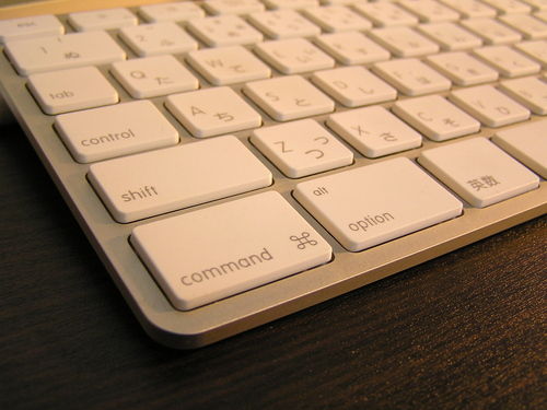 f:id:me_262:20081102040018j:image f:id:me_262:20081102040018j:image