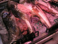 f:id:me_262:20090125122527j:image:left f:id:me_262:20090125122527j:image:left