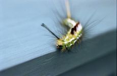 f:id:me_262:20090712213914j:image:left f:id:me_262:20090712213914j:image:left