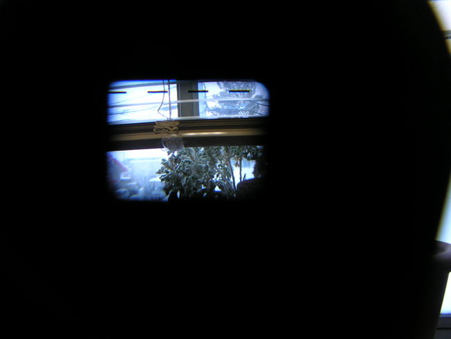 f:id:me_262:20100114163134j:image f:id:me_262:20100114163134j:image