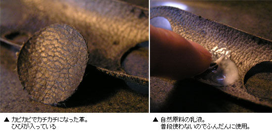 f:id:me_262:20100116012029j:image f:id:me_262:20100116012029j:image