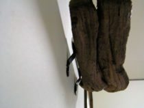 f:id:me_262:20100326005405j:image:left f:id:me_262:20100326005405j:image:left